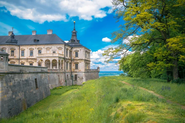 View of the castle Podgoretsky — Stock Photo, Image