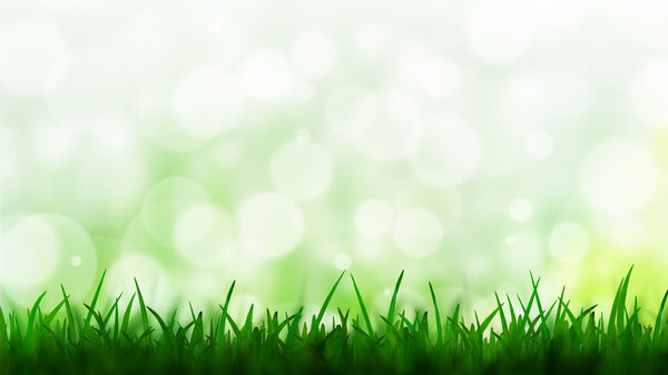 Natural green background with bokeh background