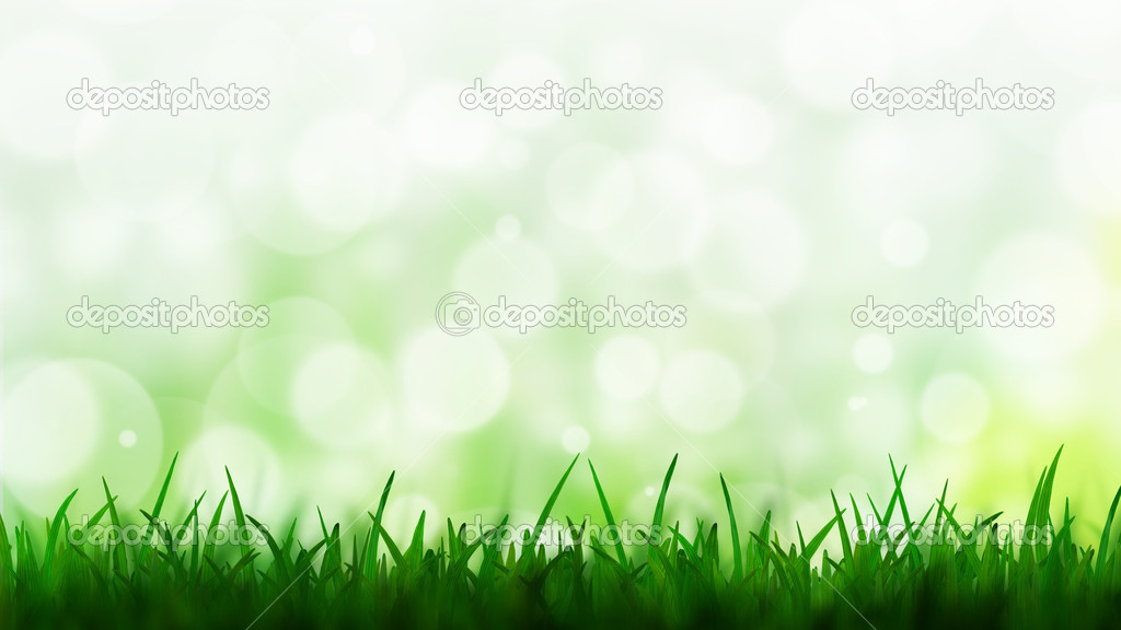 Natural green background with bokeh background