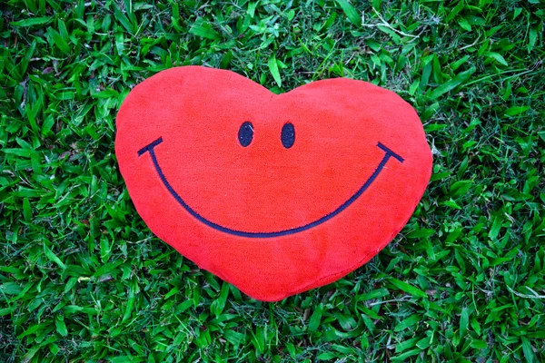 푸른 잔디에 큰 사랑 심장 모양 베개 — 스톡 사진