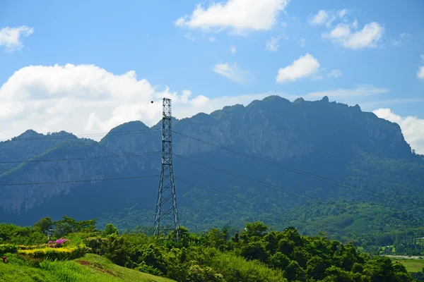 High voltage post in middle of deep rain forest jungle — Stock Photo, Image