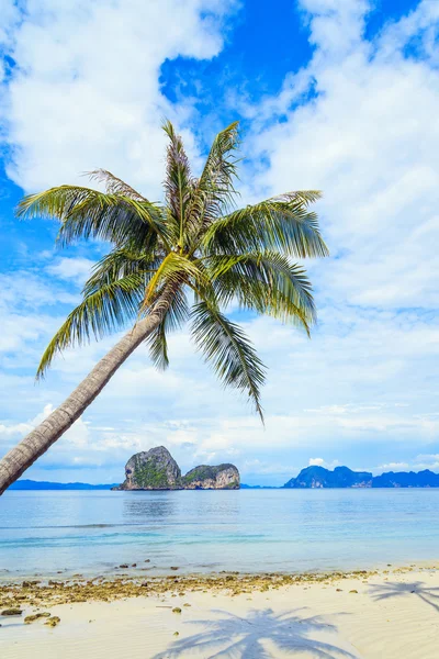 코코넛 나무와 Ngai 섬에 있는 안다만 섬에 비치 — 스톡 사진