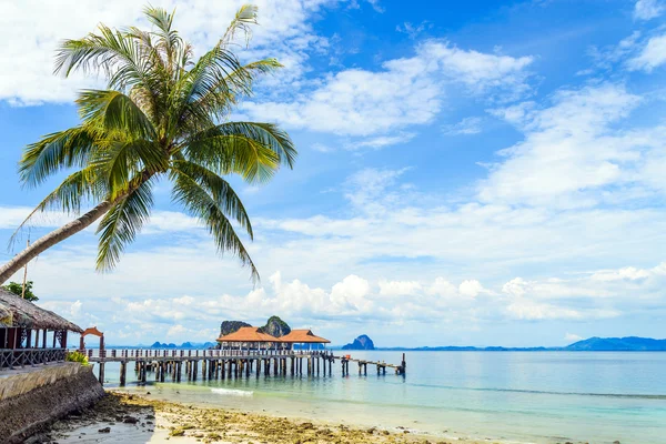 ココナッツの木とンガイ島でアンダマン島のビーチ — ストック写真