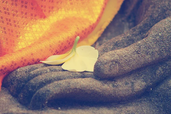 Fiore di plumeria sulla mano antica della statua buddha — Foto Stock