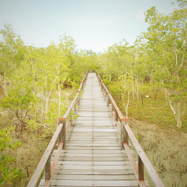 Un puente de madera —  Fotos de Stock