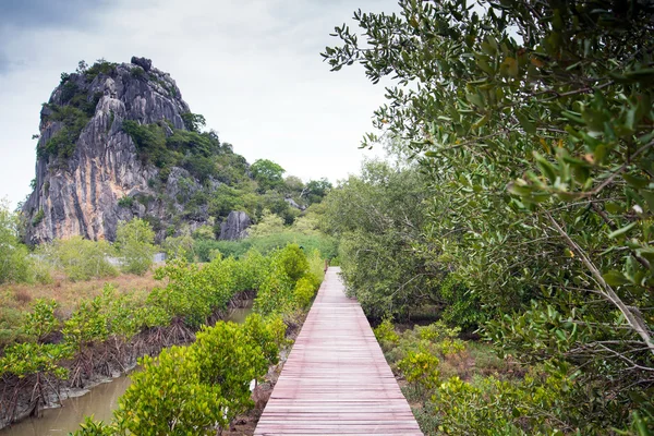 Ponte di legno — Foto Stock