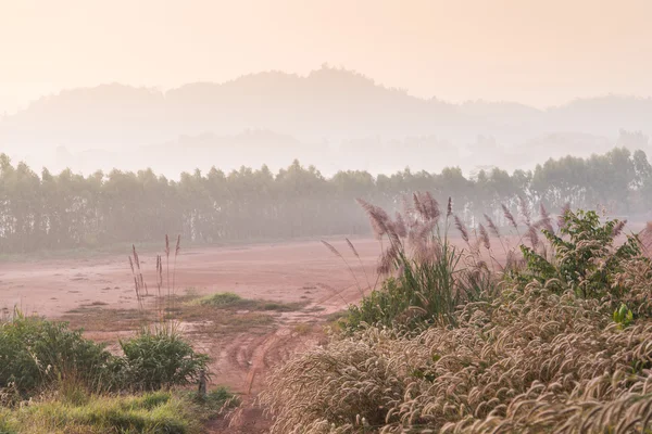 Montagne en Thaïlande — Photo