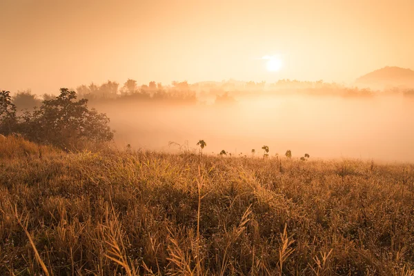 Montanha na Tailândia — Fotografia de Stock