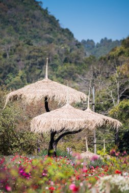 DOI angkhang dağ