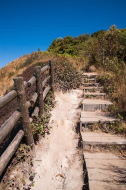 Walkway in Alpine savanna