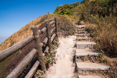 Walkway in Alpine savanna