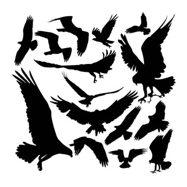 Osprey kuş hayvan siluetleri. Sembol, logo, simge, maskot, işaret ya da istediğiniz herhangi bir tasarım için iyi bir kullanım.