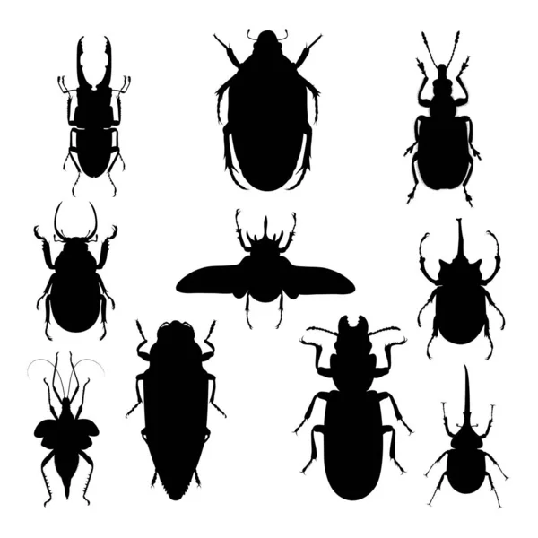 Insect Silhouettes Good Use Symbol Logo Mascot Icon Sign Any — Stockvektor