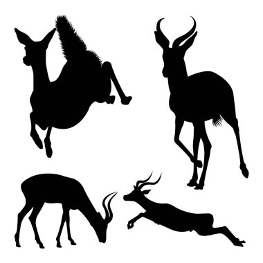 Impala mammal silhouettes. Good use for symbol, logo, icon, mascot, sign, or any design you want.