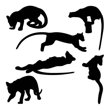Fossa mammal silhouettes. Good use for symbol, logo, icon, mascot, sign, or any design you want.