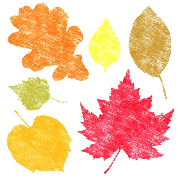 Sonbahar Yaprakları