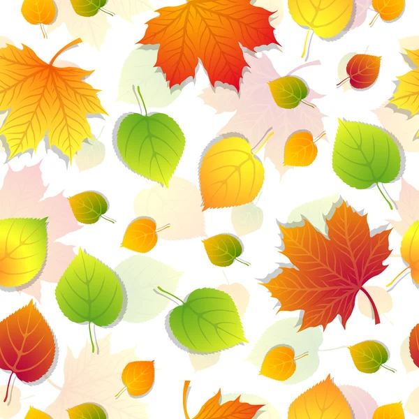 Sonbahar Yaprakları