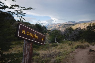 Laguna Torre 'den Andes dağları, Patagonya ve Arjantin' deki Magellanic alt kutup ormanı boyunca yürüyüş yolunda El Chalten 'i işaret ediyor. Yürüyüş sırasında El Chalten 'e giden yol işaretli.