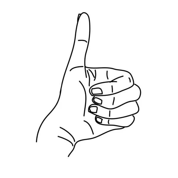 Ruce ilustrace — Stockový vektor