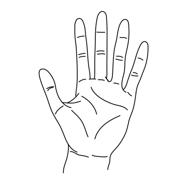Handen illustratie — Stockvector