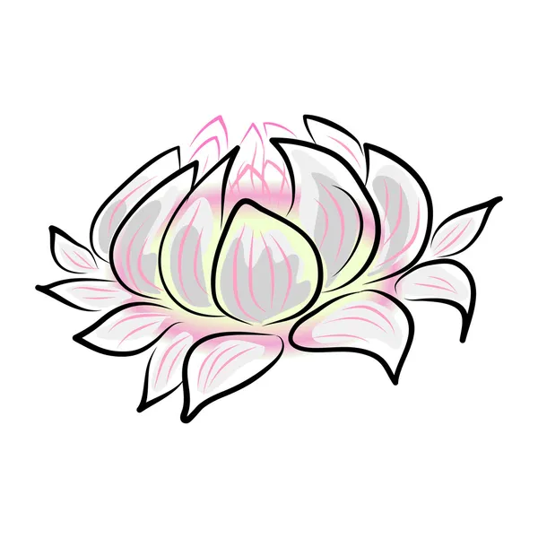 Water lily — Stock Vector