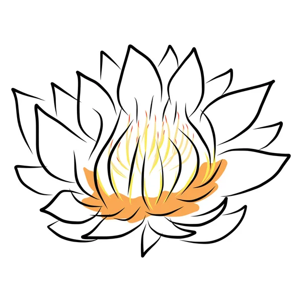 Hand ritning näckros, lotus, blomma — Stock vektor