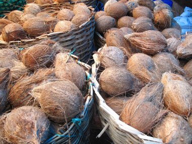 hindistancevizi sepet