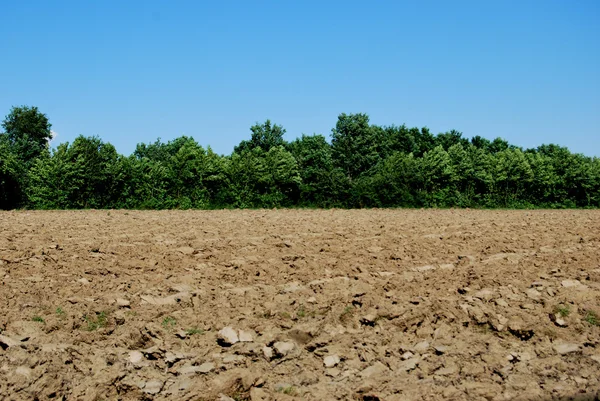 Agricoltura — Foto Stock