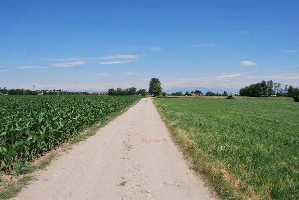 Agricoltura — Foto Stock