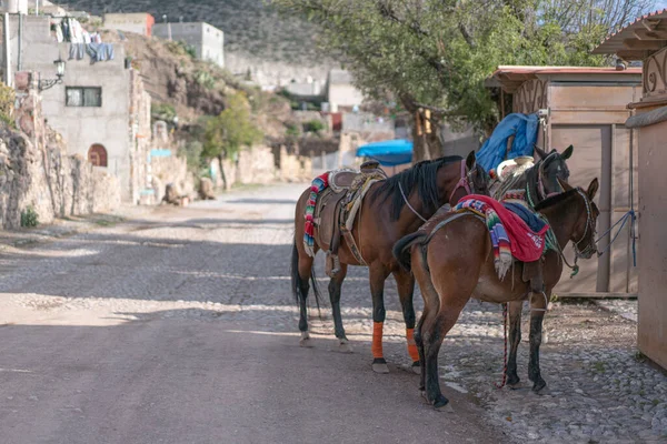 Real de Catorce, Meksika 'nın dar sokaklarında atlar