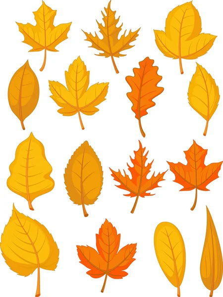 Conjunto de hojas - Hojas de otoño rojas — Vector de stock