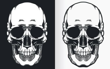 A silhouette contour of a human skull from front view perspective