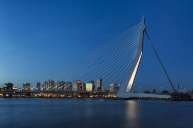 Rotterdam 'daki Erasmus Köprüsü