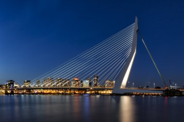 Rotterdam 'daki Erasmus Köprüsü