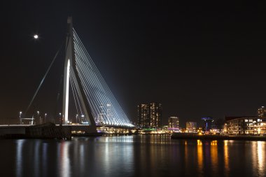 Rotterdam 'daki Erasmus Köprüsü