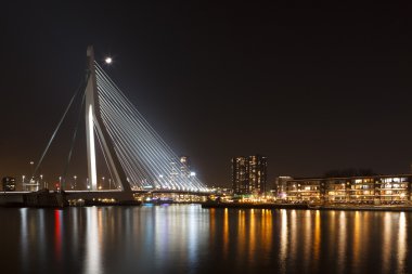 Rotterdam 'daki Erasmus Köprüsü