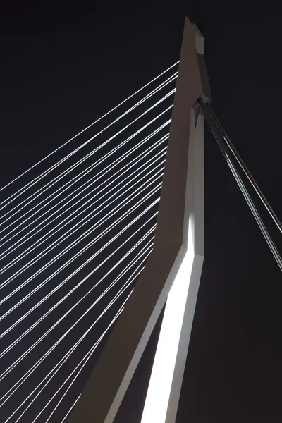 ロッテルダムのエラスムス橋 — ストック写真