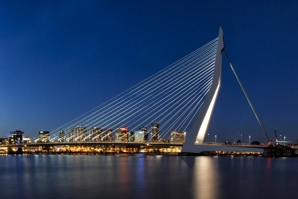 Erasmus Bridge in Rotterdam Royalty Free Stock Images
