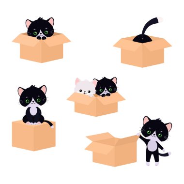 Beyaz arka planda izole edilmiş kutuyla oynayan bir grup sevimli kawaii kedisi.