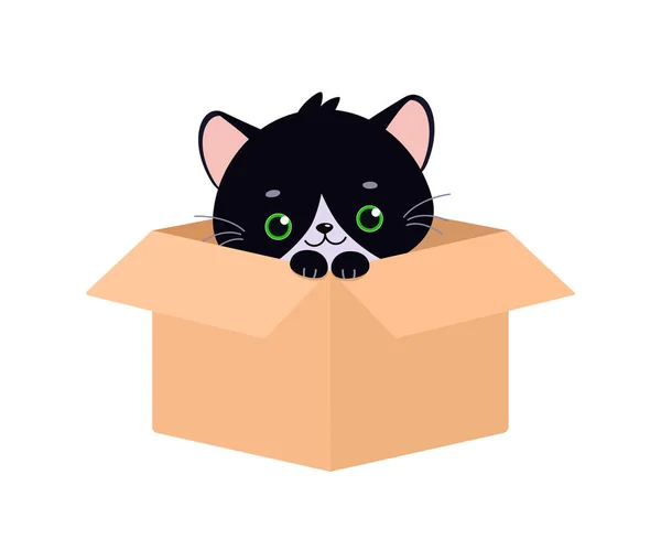 Mignon gris kawaii chat assis dans la boîte sur fond blanc — Image vectorielle