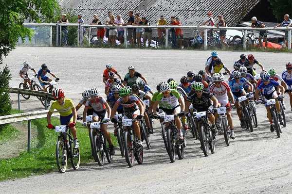 Bicicleta de montaña — Foto de Stock