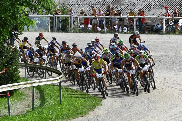 Bicicleta de montaña —  Fotos de Stock