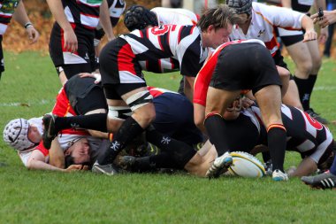 meczu rugbyRagbi maçı