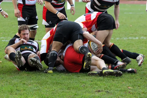 Rugby match — Stockfoto