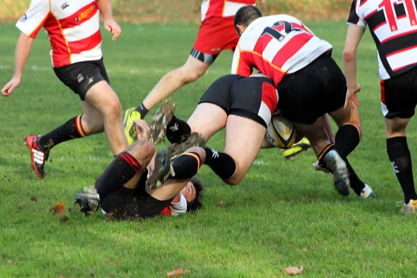 Rugby wedstrijd — Stockfoto