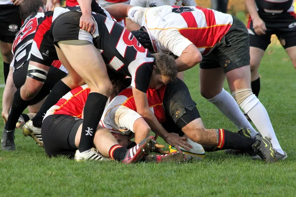 Jogo de rugby — Fotografia de Stock