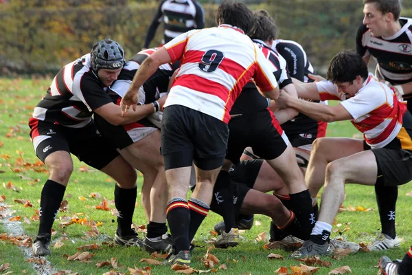 Partido de rugby — Foto de Stock