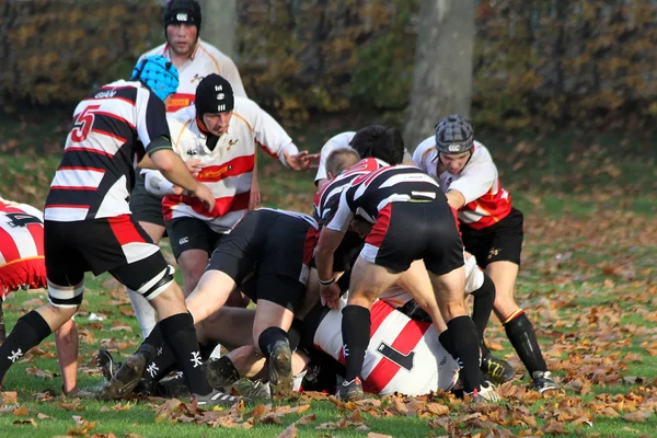Rugby wedstrijd — Stockfoto