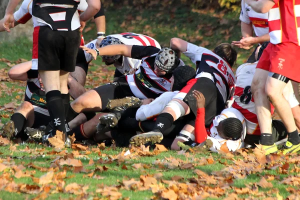 Match de rugby — Photo