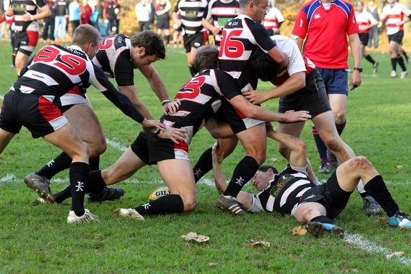 Partido de rugby — Foto de Stock